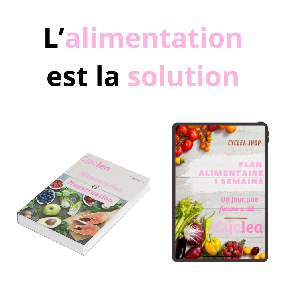 E-book Alimentation & Menstruation
